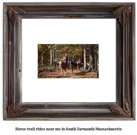 horse trail rides near me in South Yarmouth, Massachusetts